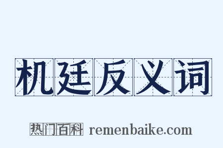 机廷反义词是什么意思的图片